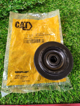 4196010CAT