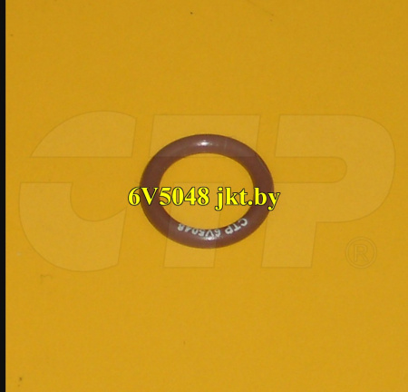 6V5048