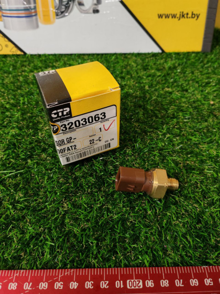 3203063CTP (3)